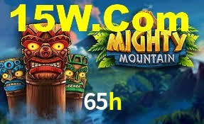 65h App Interface