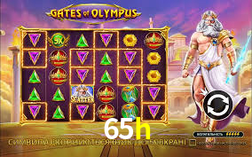 65h,65h.com