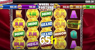 65h.com
